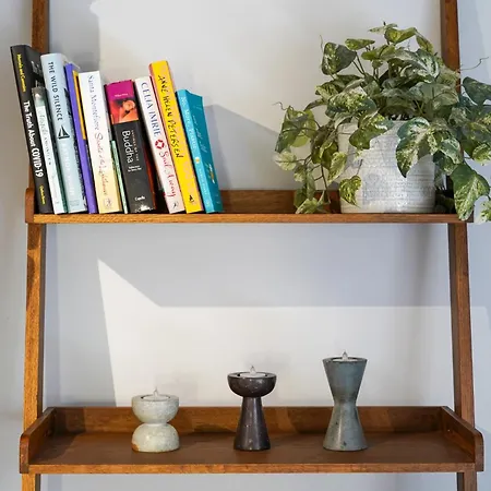 The Bribie هاروغايت